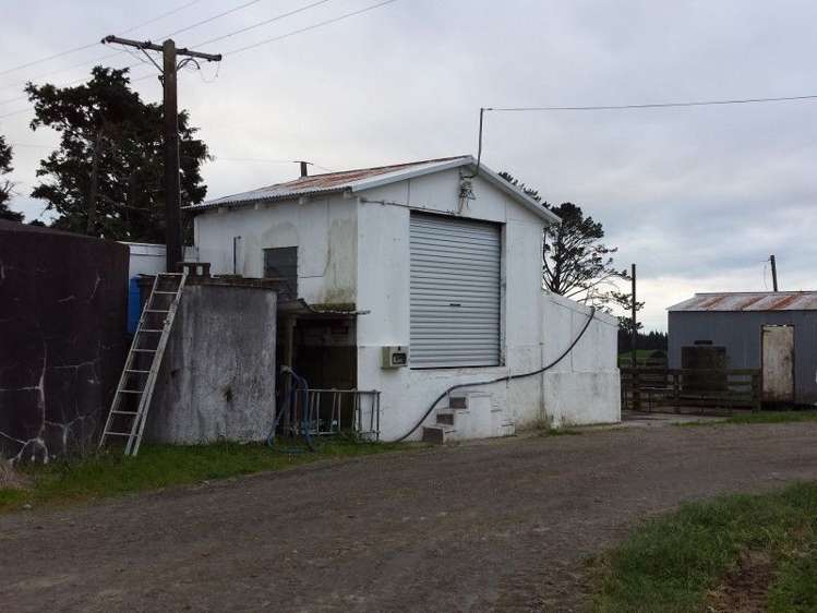 1102 Mangorei Road Mangorei_3