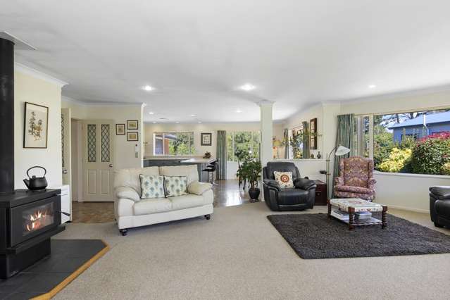 120 Homebush Road Glentunnel_4