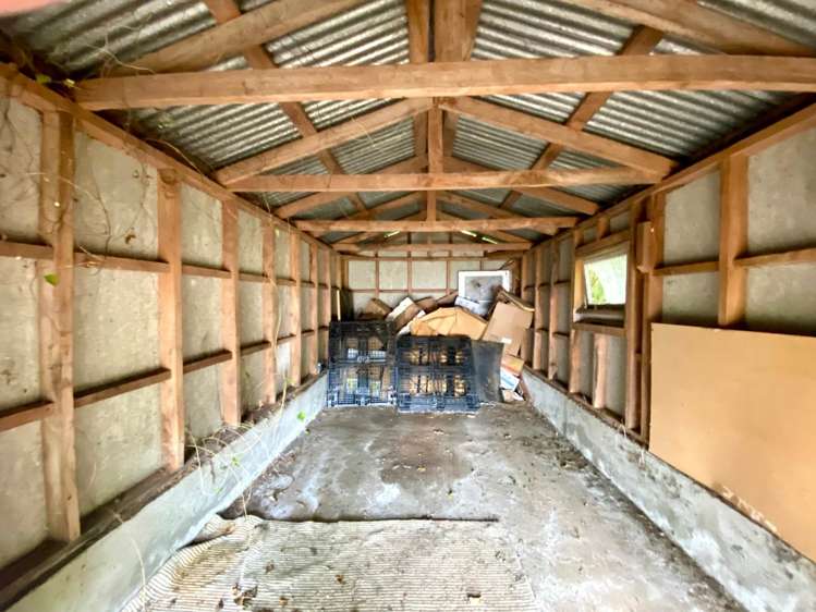 A/207 Campbell Road Greenlane_14