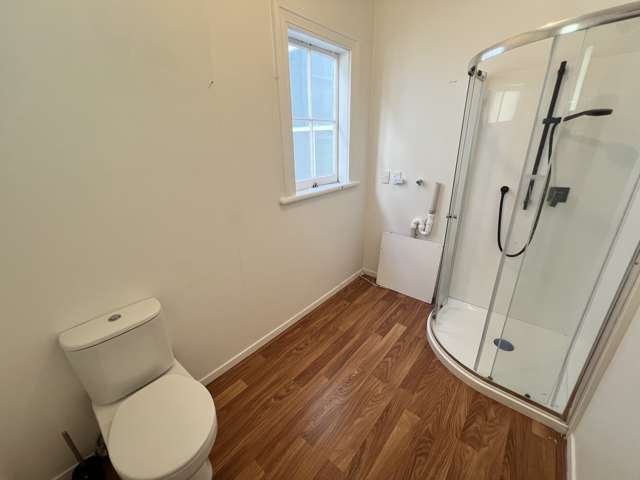 39 Spring Street Freemans Bay_4