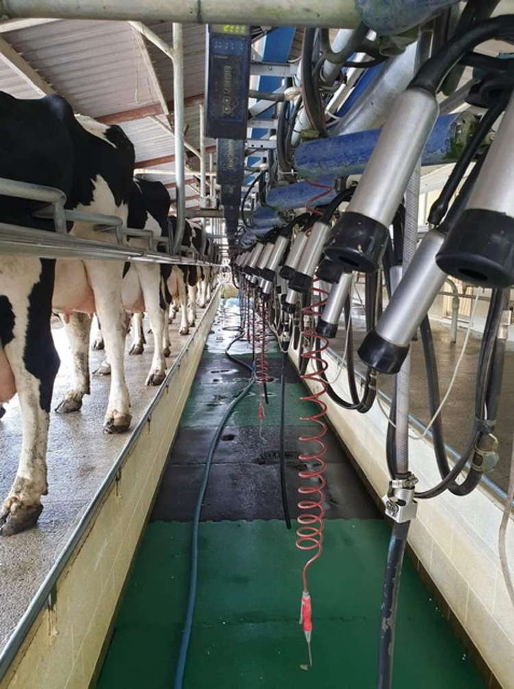 783 Waihekau Road Waitoa_4