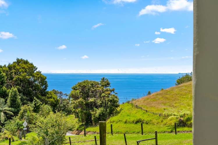 65 M Greenwood Road Leigh_1