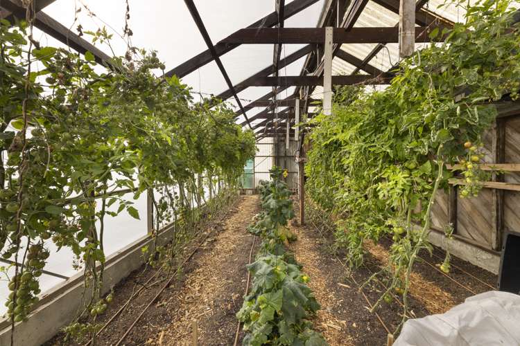 66 London Street Hampden_19