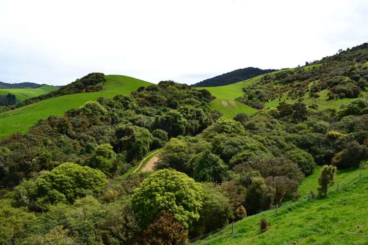 771 Hunt Road Catlins Surrounds_4