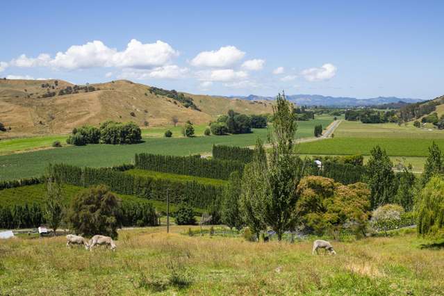 909A Wharekopae Road Ngatapa_1