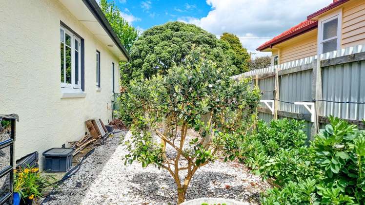 209 Fenton Street Thames_26