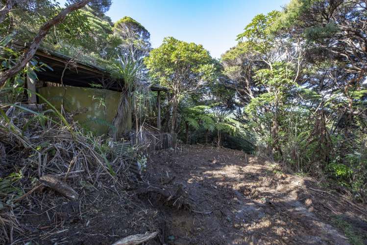 14 La Trobe Track Karekare_9