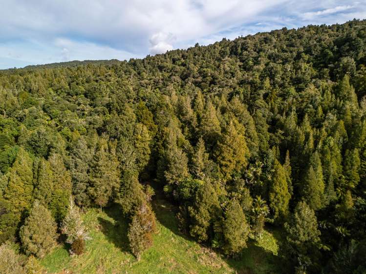 Lot Lot 2/2262 Waiare Road Kaeo_15