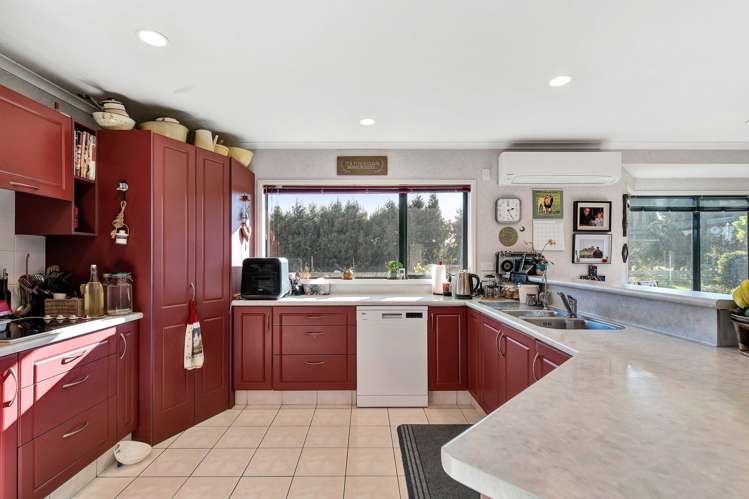 144 Raleigh Street Brixton_6