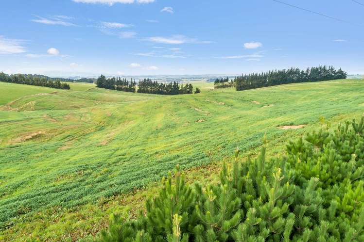 Lot 1 and 2 Pinnacle Road Gore_13