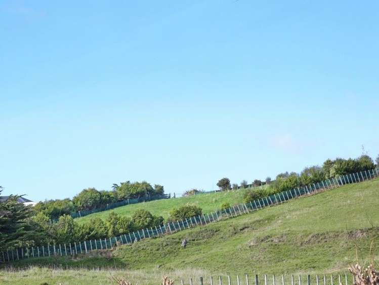 6 Harper Mews Feilding_4