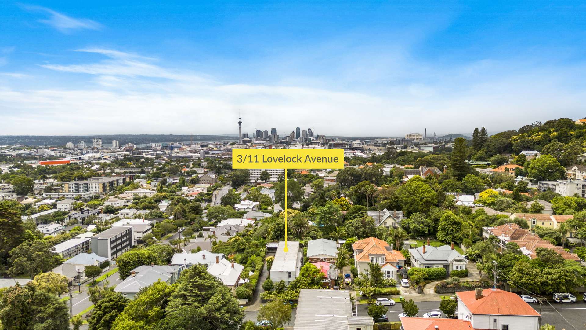 3/11 Lovelock Avenue Mount Eden_0