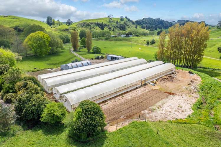 591 Turitea Road Otorohanga_15