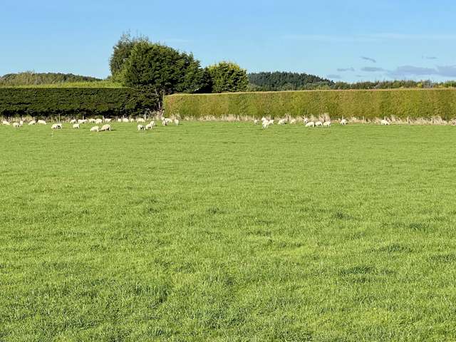 41 Billy Way West Plains_4