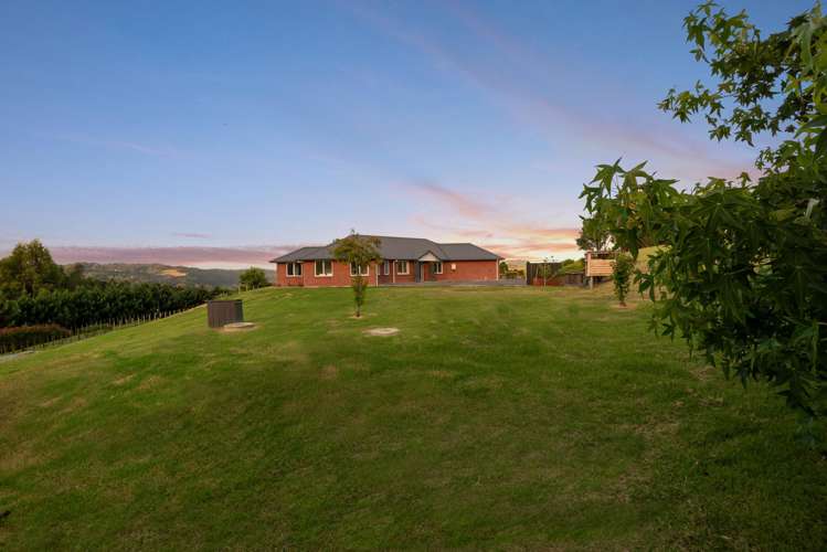 61 Moses Road Kaukapakapa_37