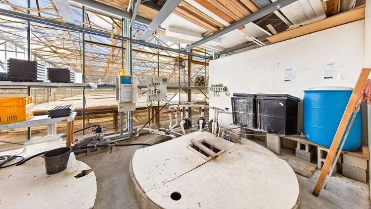 40 Matheson Way Waiau Pa_13