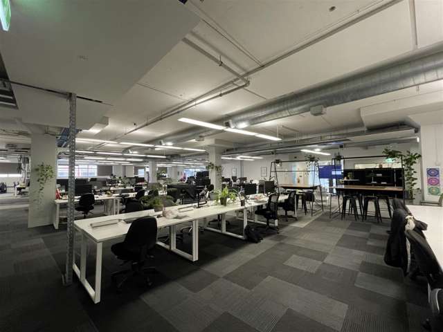 9 Augustus Terrace Parnell_3