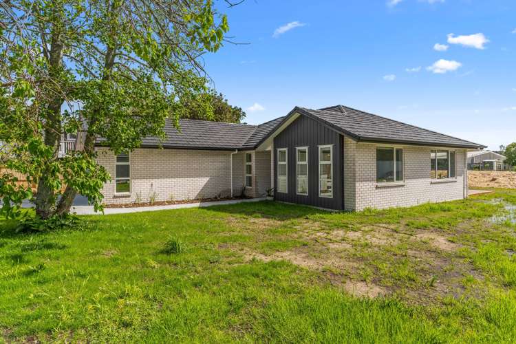 46b Moir Street Mangawhai_26