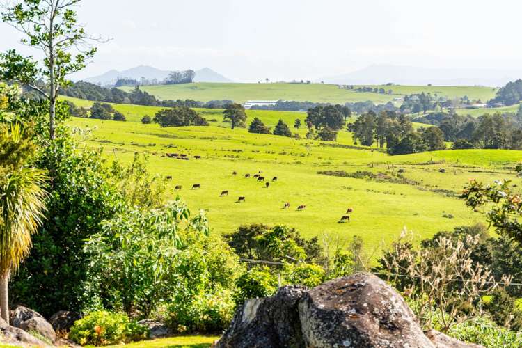 176 Hodge Road Ruatangata_21