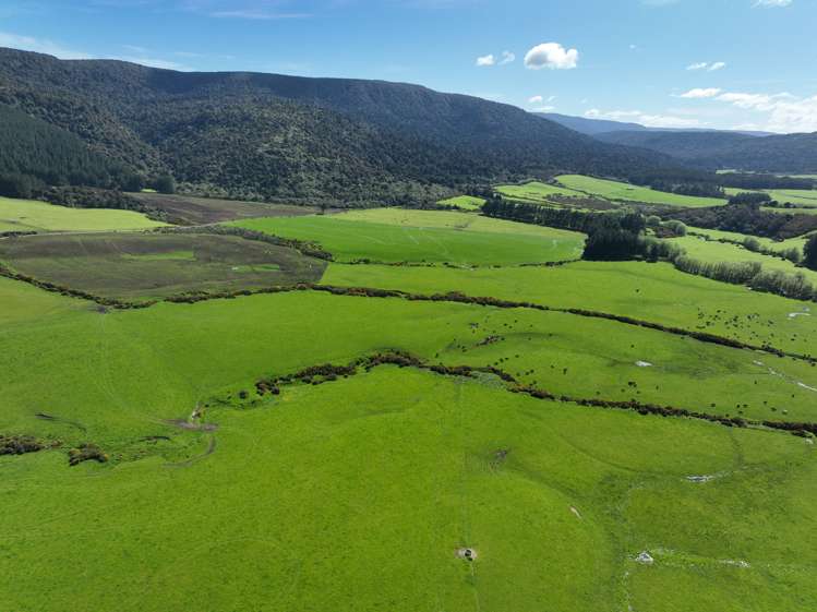 97 Marinui Road Quarry Hills_6