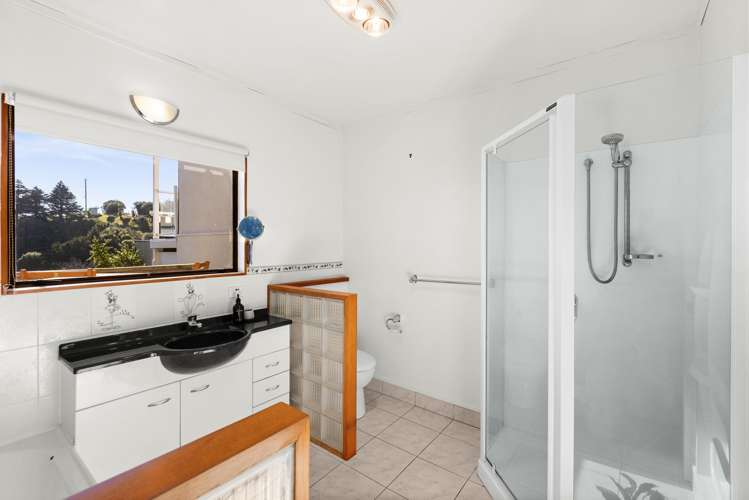 2/3 Lighthouse Road Bluff Hill_13