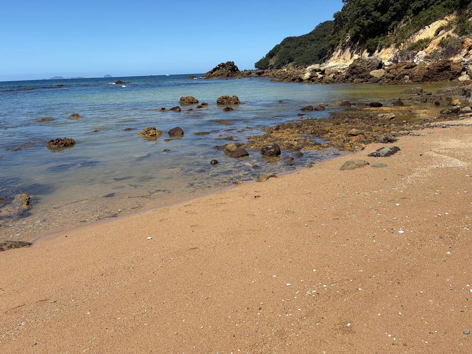 554 Boat Harbour Road Whenuakite_0