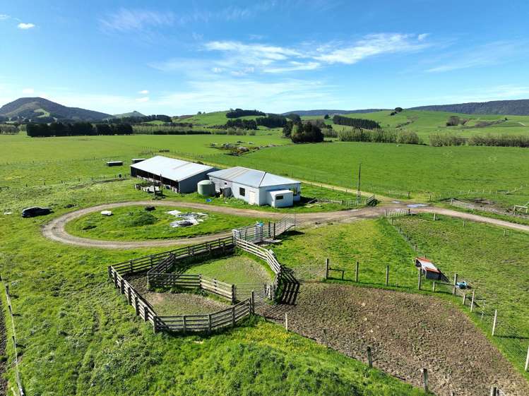 97 Marinui Road Quarry Hills_8