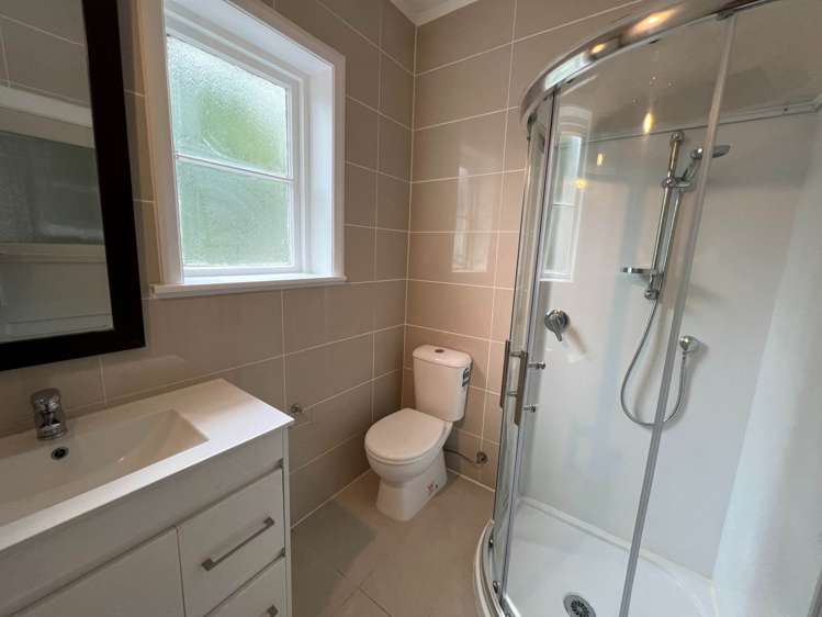 16 Harwood Street Sandringham_9