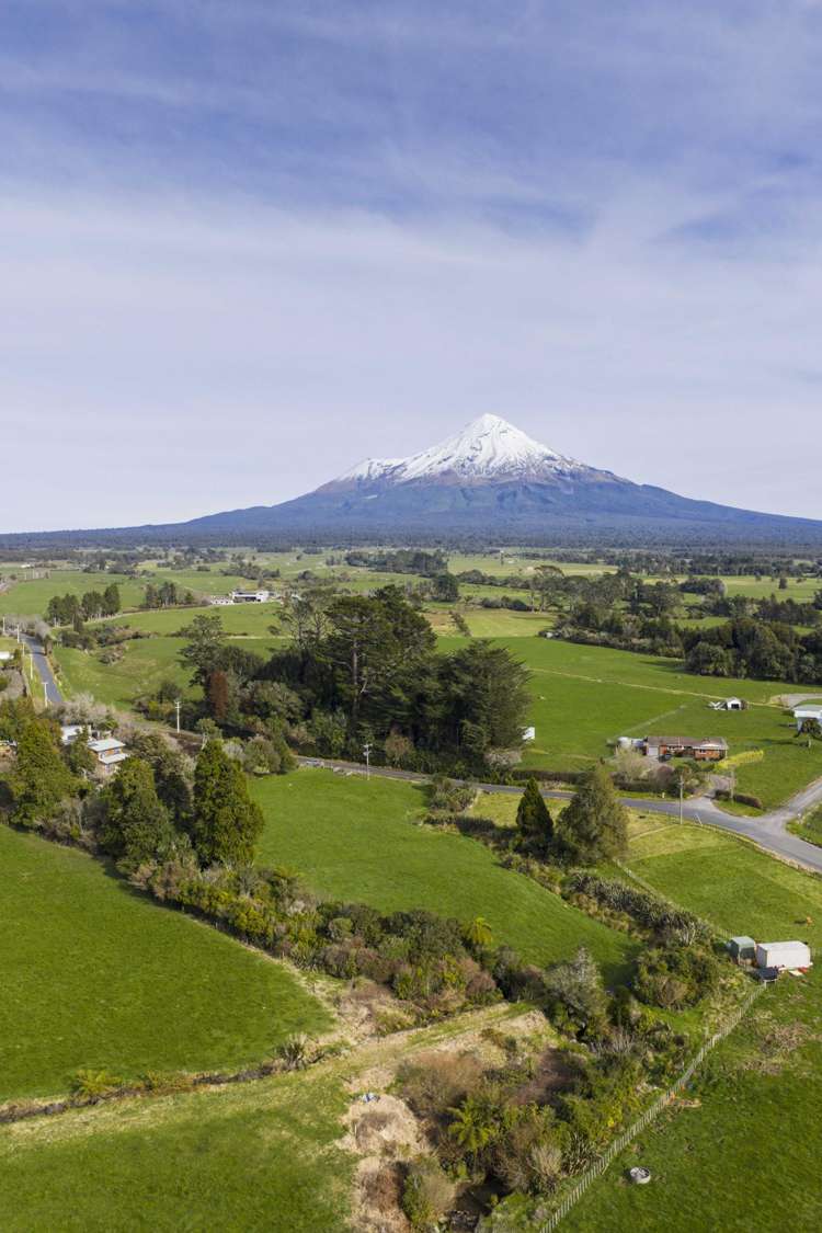 407 Surrey Road Inglewood_12