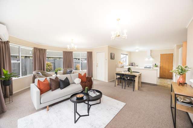 8B Elizabeth Street Palmerston North_2
