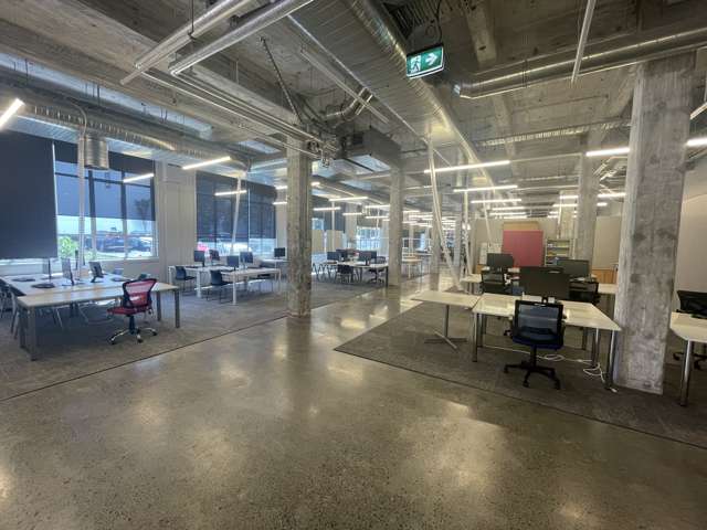 24 Balfour Road Parnell_3