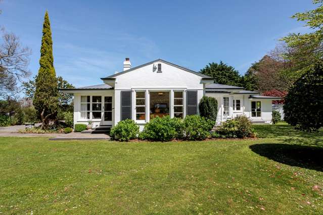 An enchanting story waiting to unfold