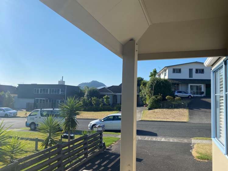 24A Terrace Avenue 11229_24