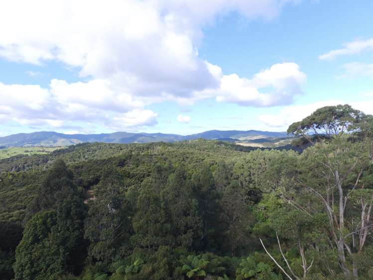 294 Munn Road Kaitaia_4