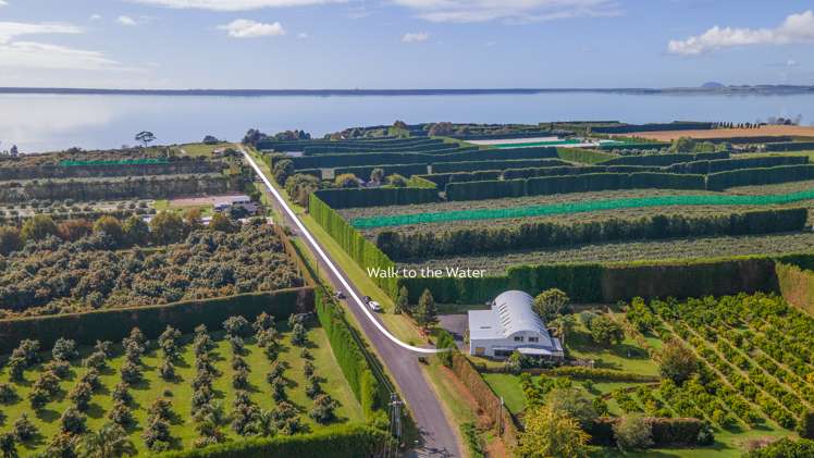 100 Pukakura Road Katikati_0