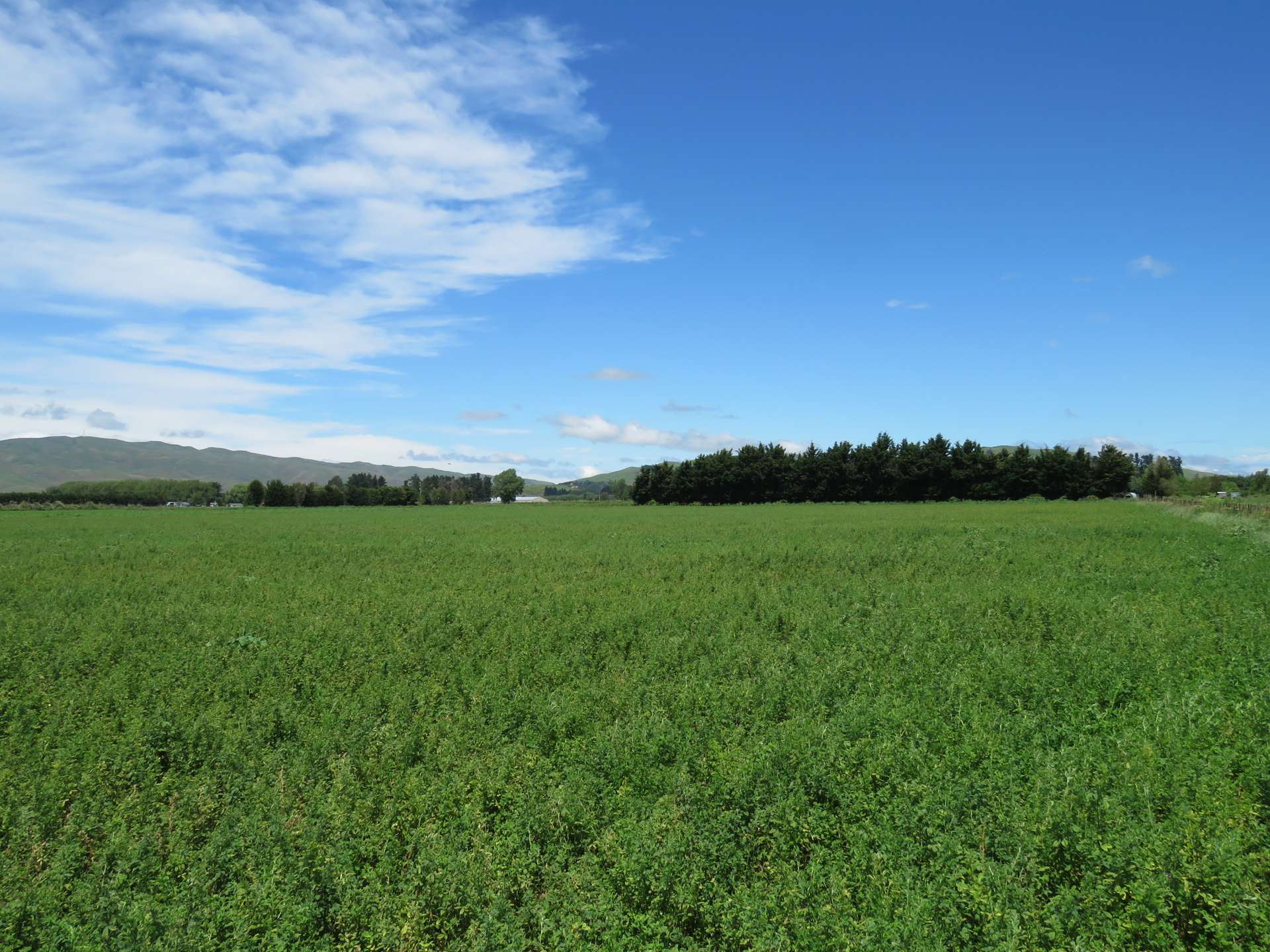 150 Paki Paki Road Longlands_0