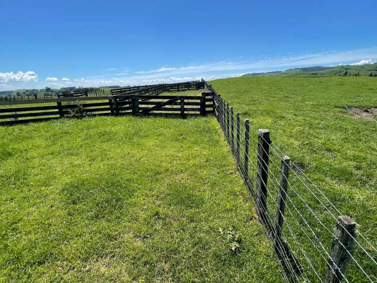 Ngaroma Road Wharepuhunga_15