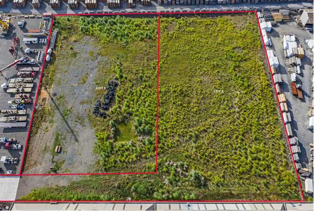 165 Dominion Road Red Hill_3