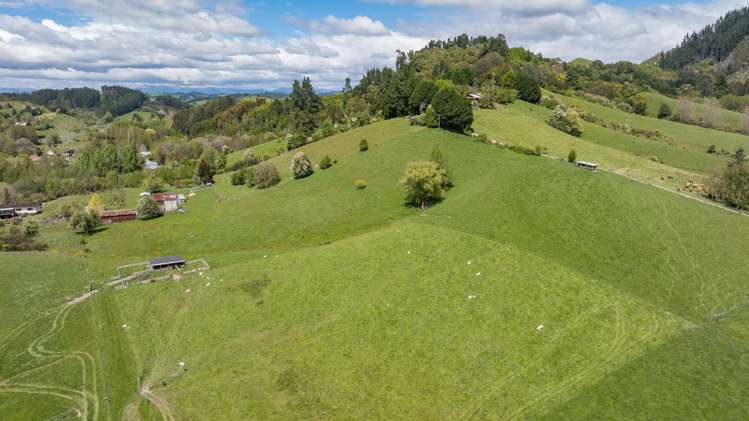 98 Thorpe-Orinoco Road Ngatimoti_2