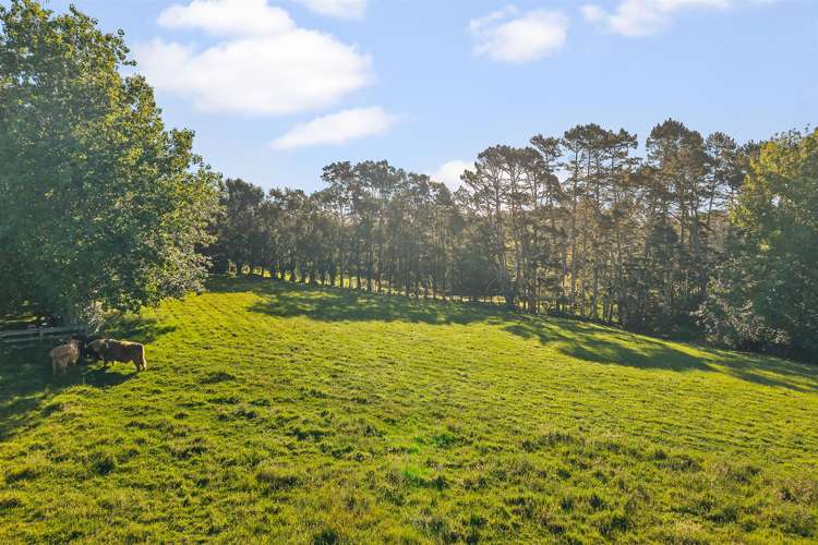 Lots 1, 2, 3 and 4 of 5 Dysart Lane Kumeu_10