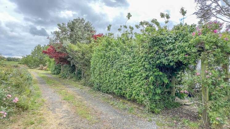 218 Hampton Downs Road Te Kauwhata_34