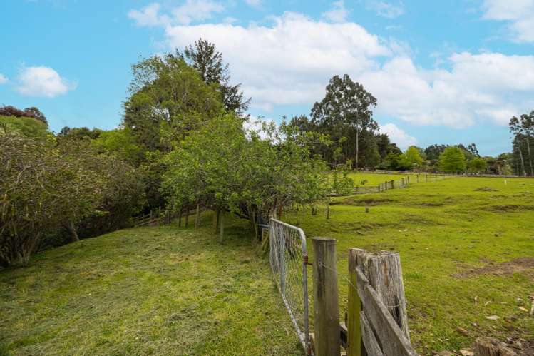 42 & 44 Crown Street North East Valley_29