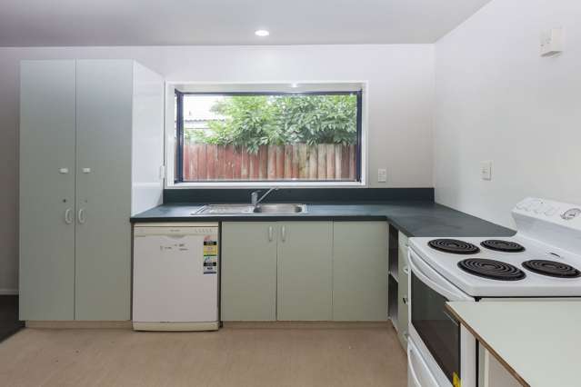 63 Clydesdale Street Woolston_4