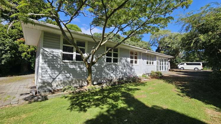 275a Carrington Street Vogeltown_16