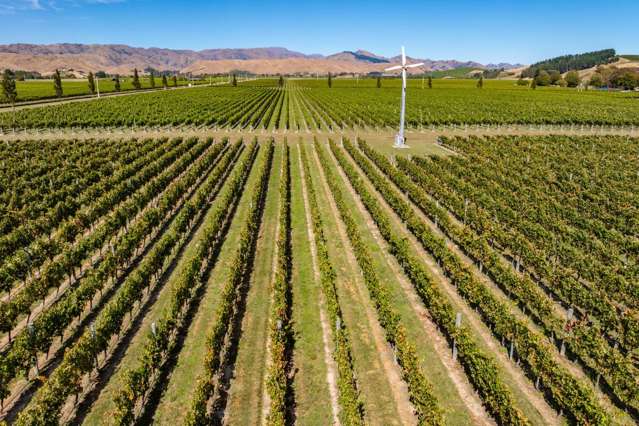 1 Wairau Plains Renwick_1