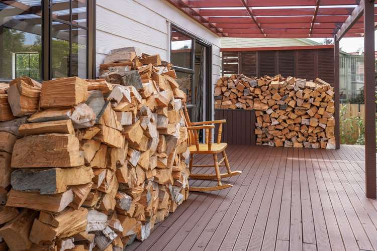 12 Reeves Street Cheviot_17