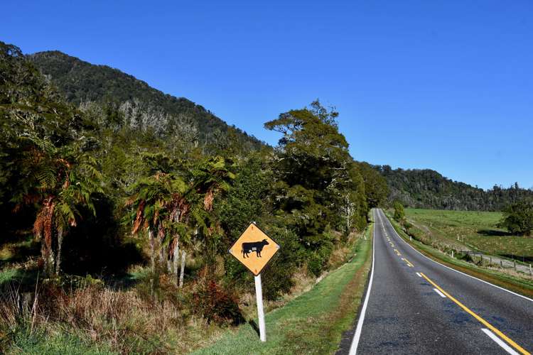 1638/1502 Karamea Highway Karamea Buller Rural Property For Sale