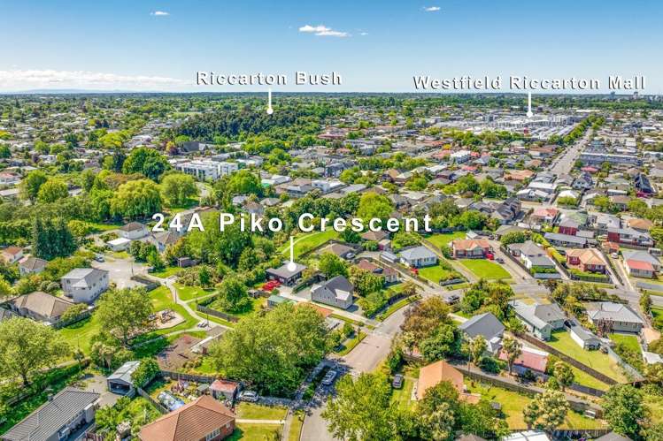 A/24 Piko Crescent 10211_16