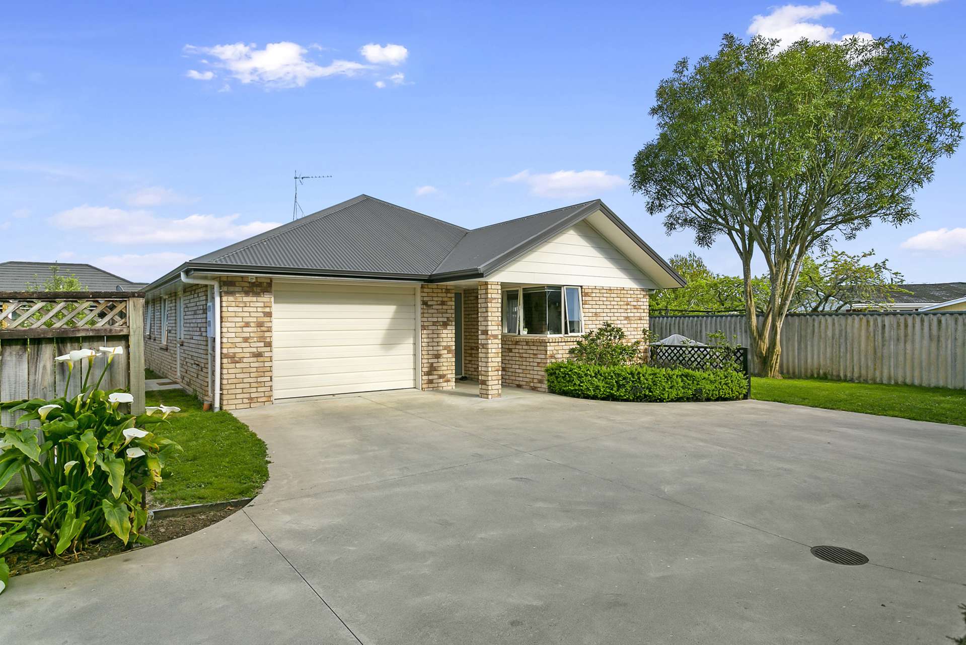 7a Elizabeth Street Cambridge_0