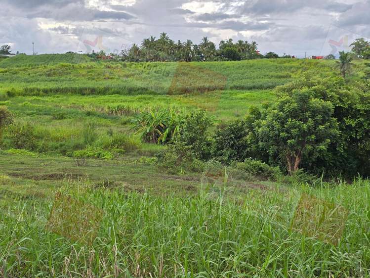 Address withheld Sonaisali_15